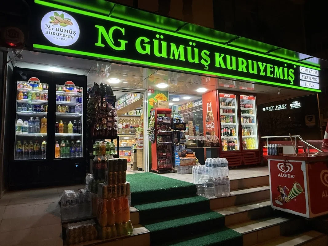 NG Gümüş Kuruyemiş