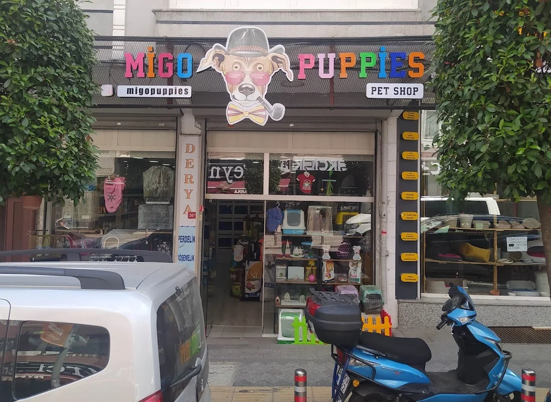 MİGO PUPPİES PETSHOP - Güngören, İstanbul