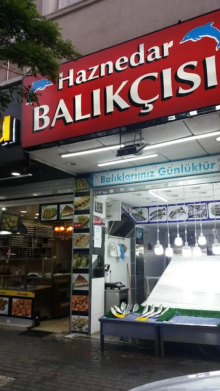 Haznedar balikcisi