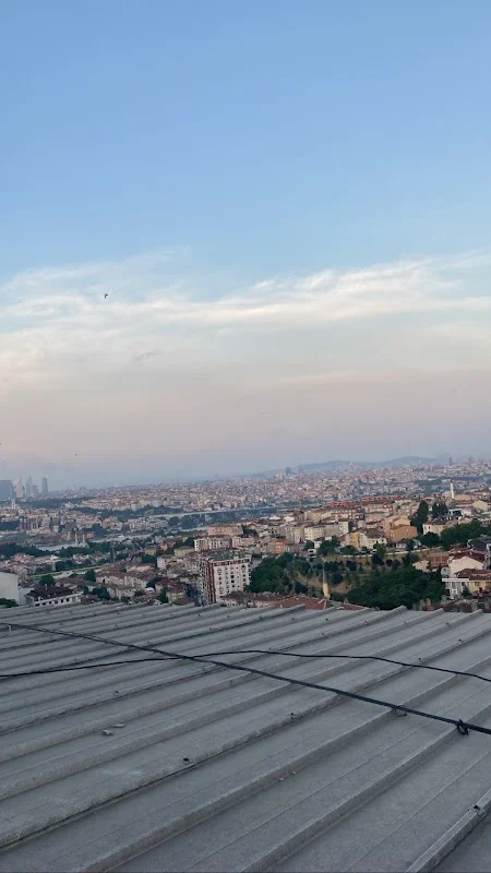LGS Çapa Polinom Kurs