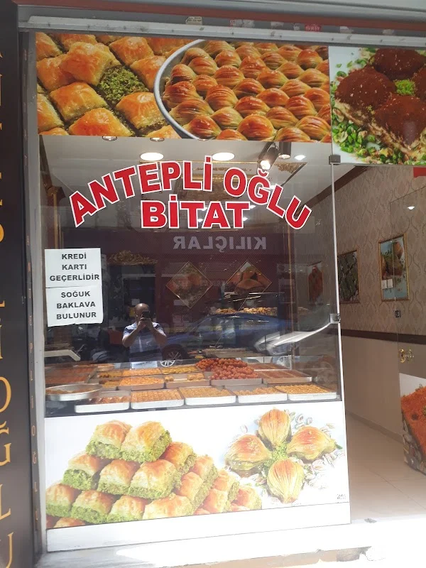 ANTEPLİOĞLU BİTAT BAKLAVA SICAK TATLI