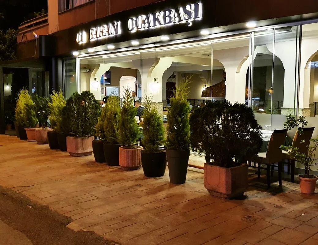 01 Baran Ocakbaşı