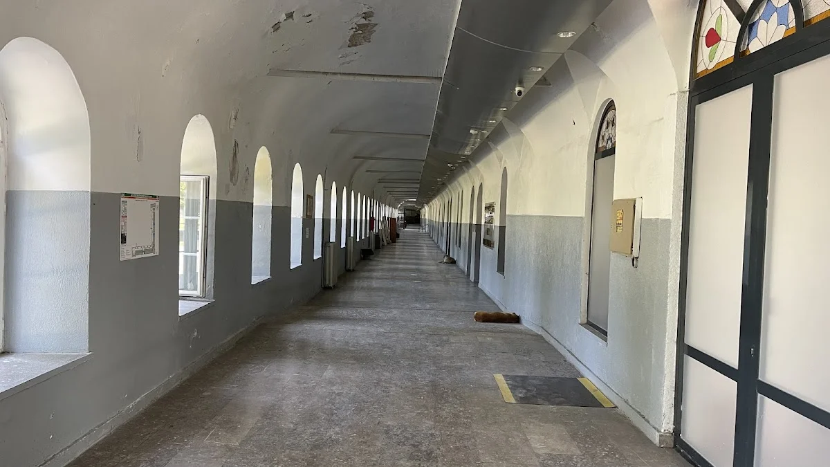 Yıldız Teknik Üniversitesi