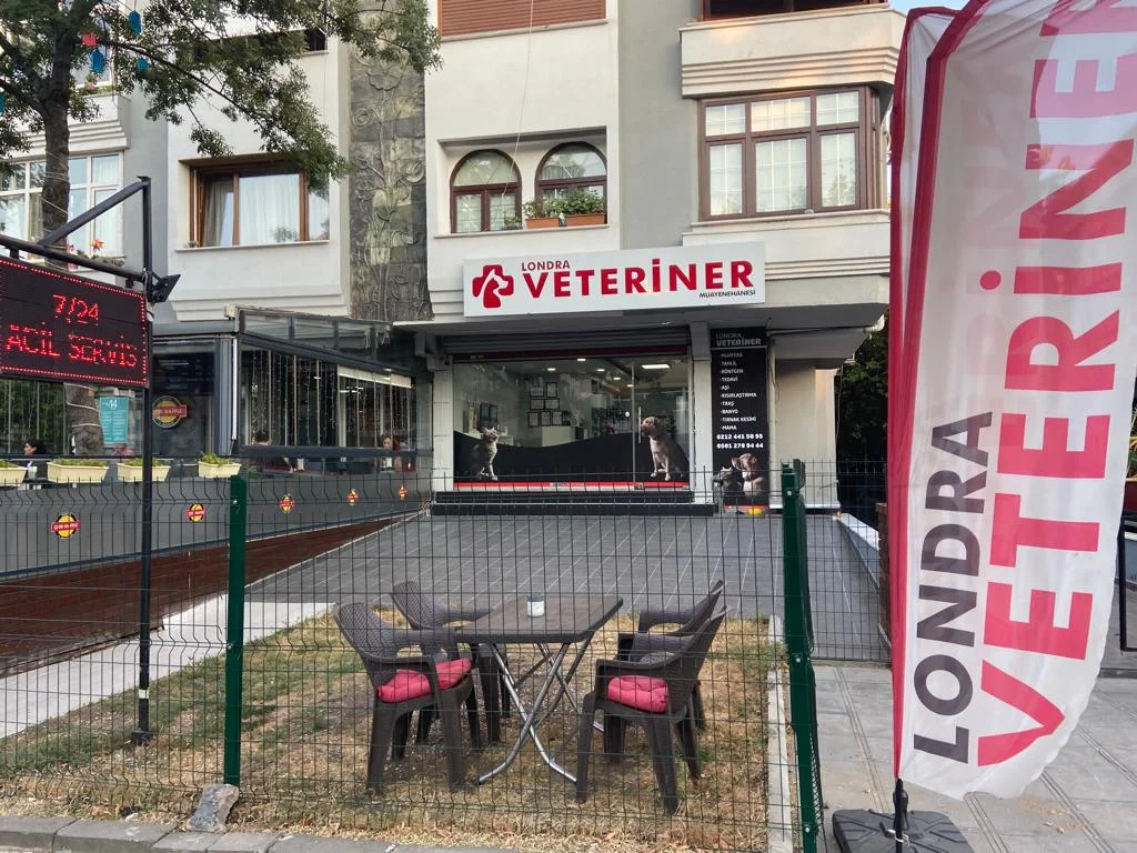 Londra Veteriner Kliniği 7/24 ACİL VETERİNER BAHÇELİEVLER - Bahçelievler, İstanbul