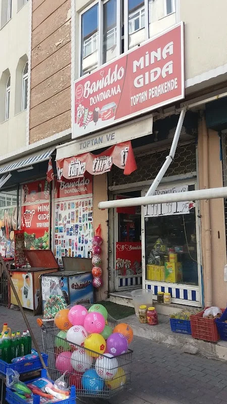 Mina Gıda