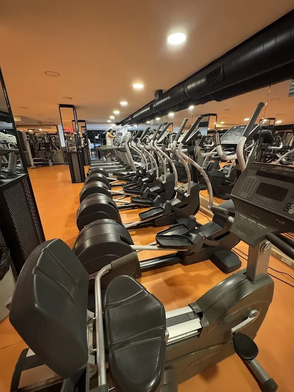 Flamingo GYM Fındıkzade