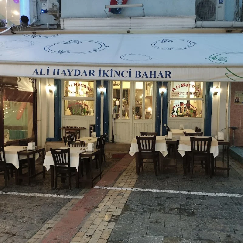 Ali Haydar İkinci Bahar