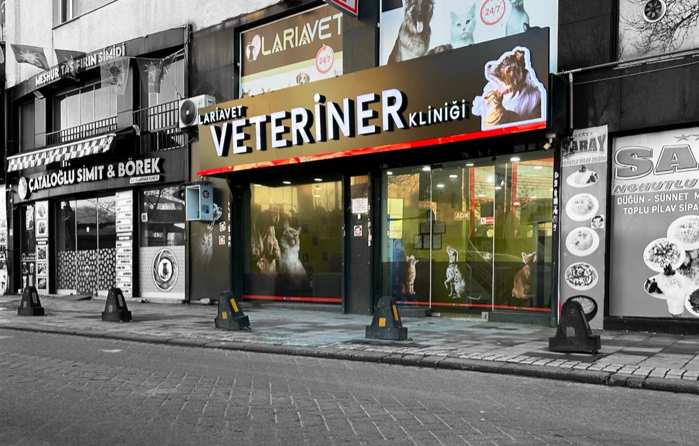 Bayrampaşa LariaVet Veteriner Kliniği