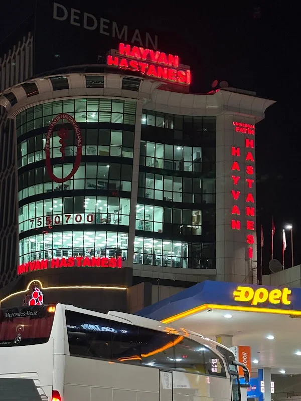 MALTEPE UNIVERSAL FATİH HAYVAN HASTANESİ ,VET HAST MALTEPE/ KÜÇÜKYALI VETERİNER