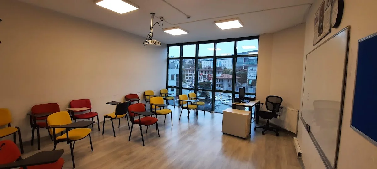 Özel Linguist Yabancı Dil Kursu