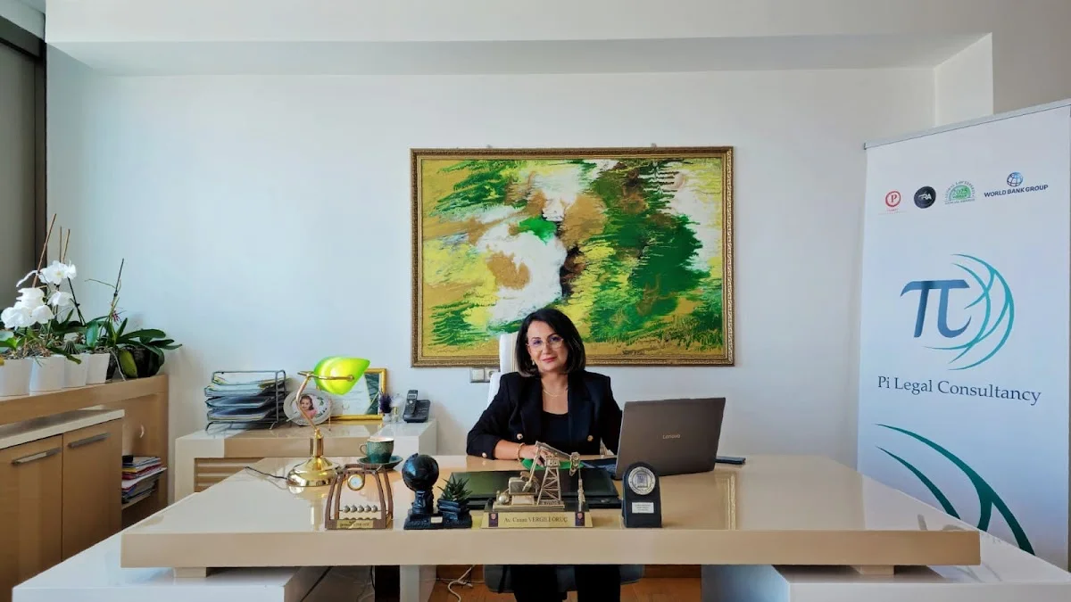Law Firm in istanbul | Lawyer in istanbul | Pi Legal Consultancy