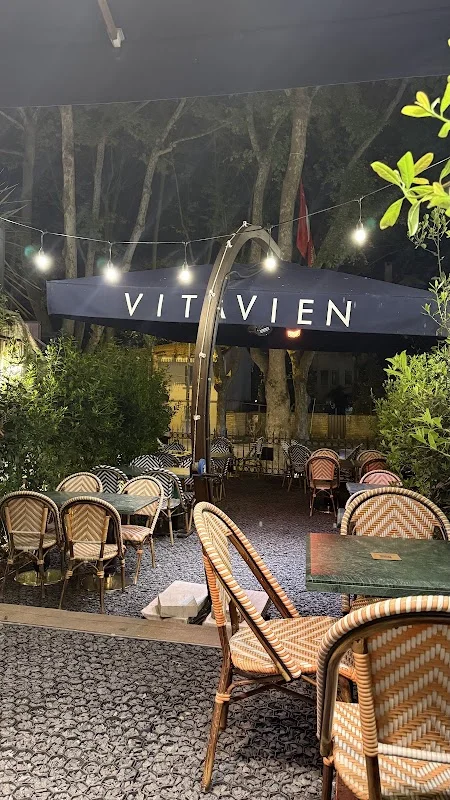 Vitavien | Yeniköy