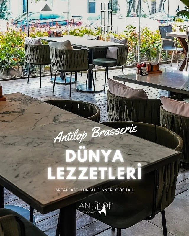 Antilop Brasserie
