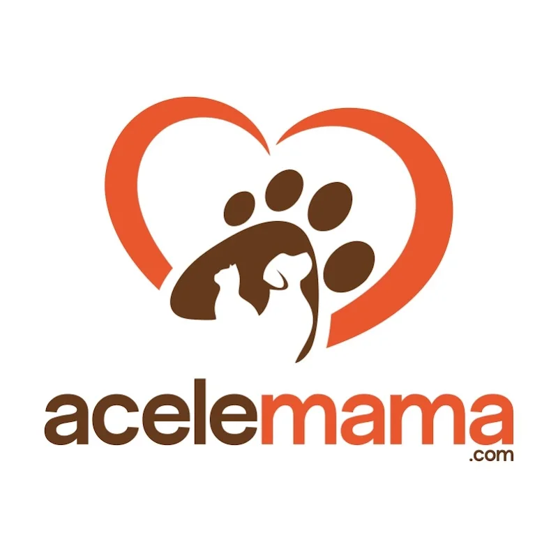 AceleMama Sarıyer