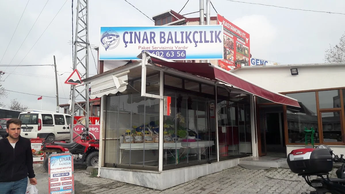 Çınar balıkcılık