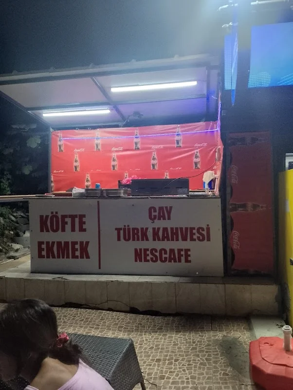 Köfteci Ayten abla