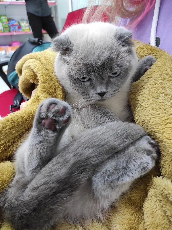Acıbadem Pet Lucky Veteriner Kliniği