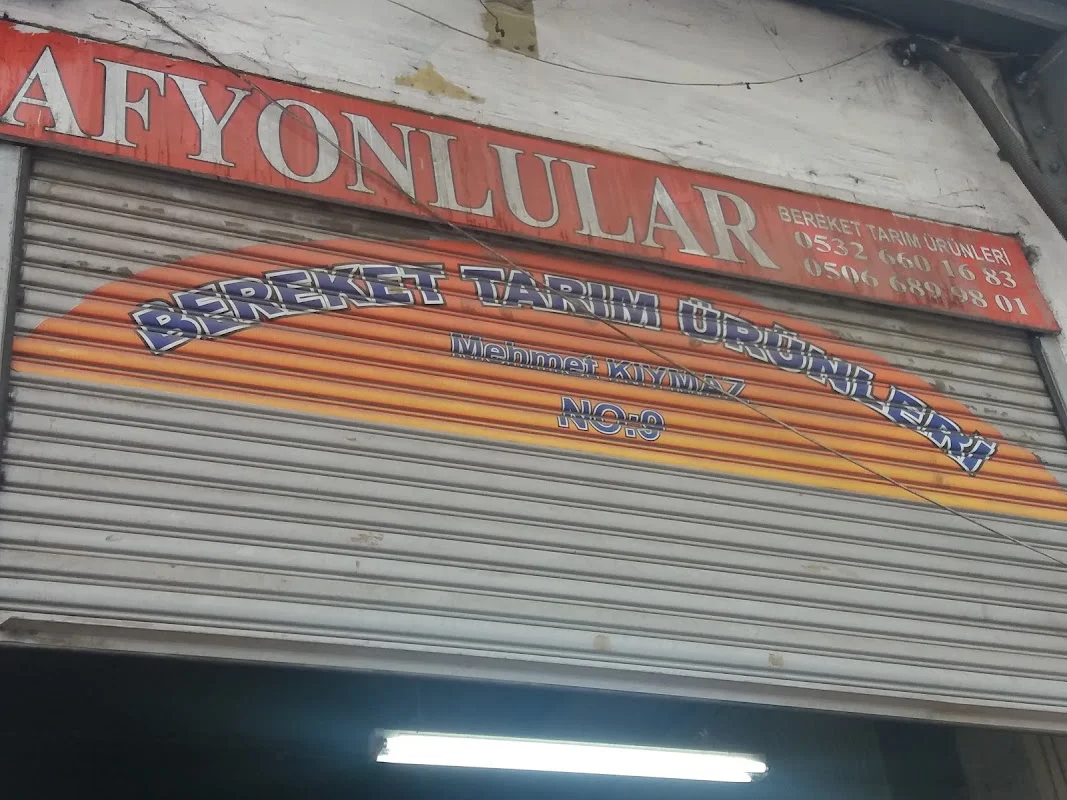 AFYONLULAR