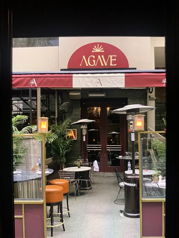 Agave Nişantaşı