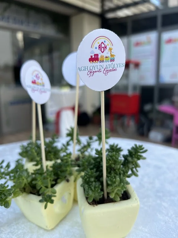 AGH OYUN ATÖLYESİ GİZEMLİ OYUNLAR - Başakşehir, İstanbul