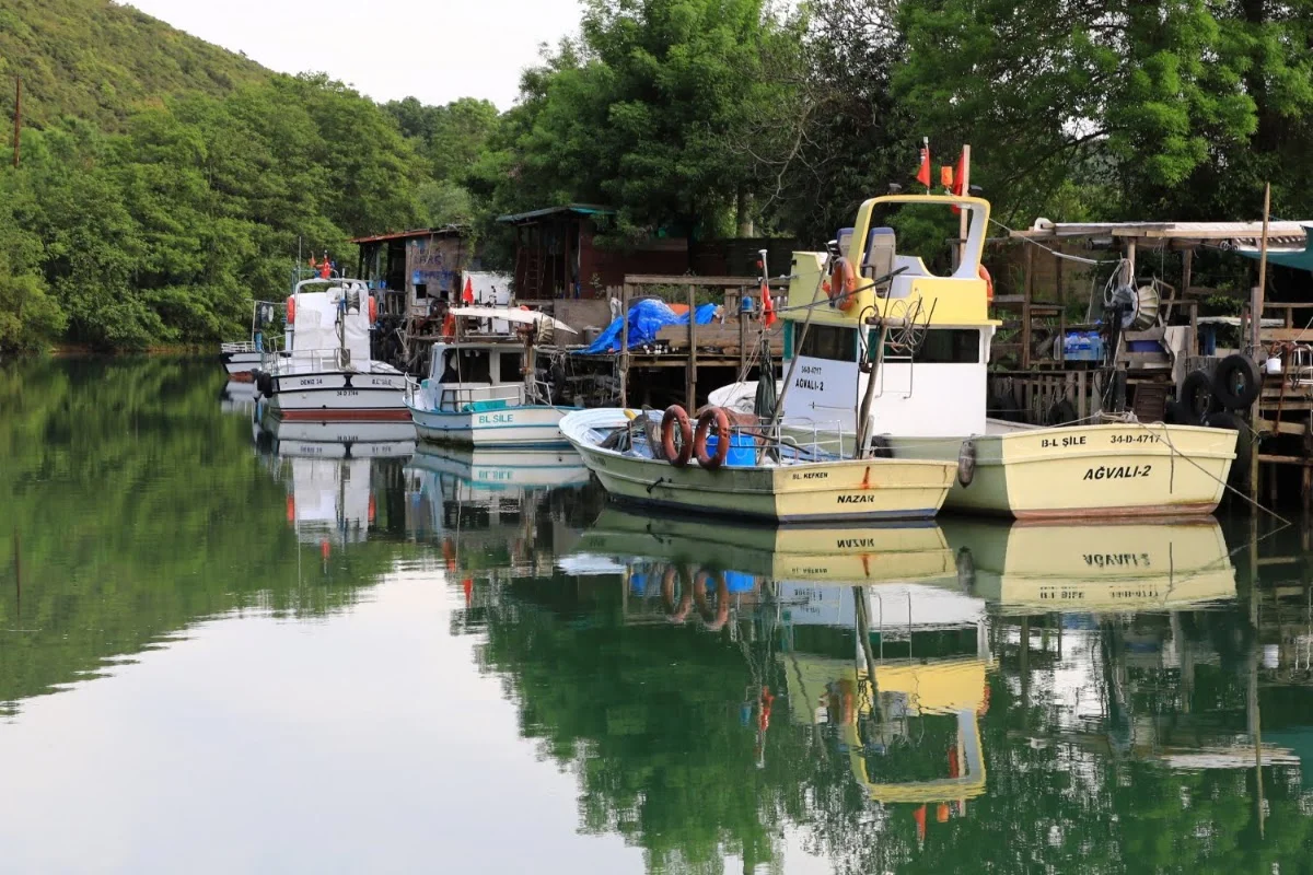Ağva Kilimli Koyu - Şile, İstanbul