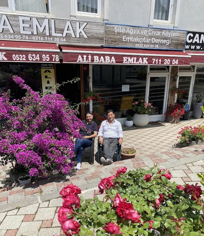 Ali Baba Emlak - Şile, İstanbul
