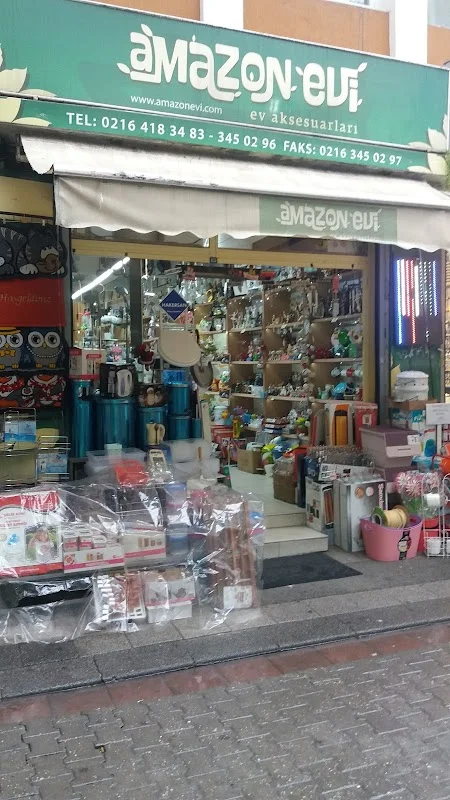 AmazonEvi