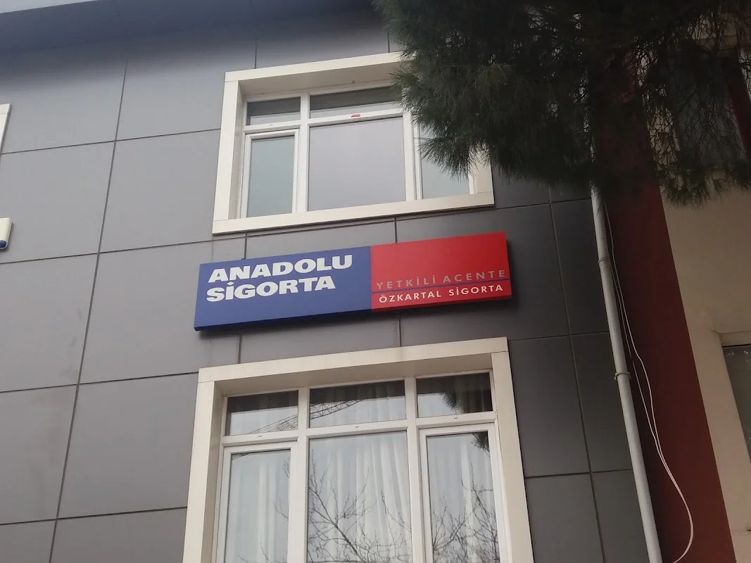 Anadolu Sigorta