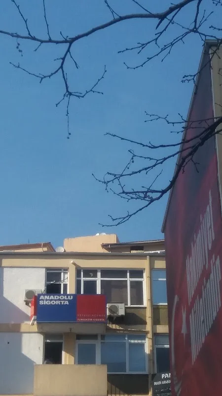 ANADOLU SİGORTA