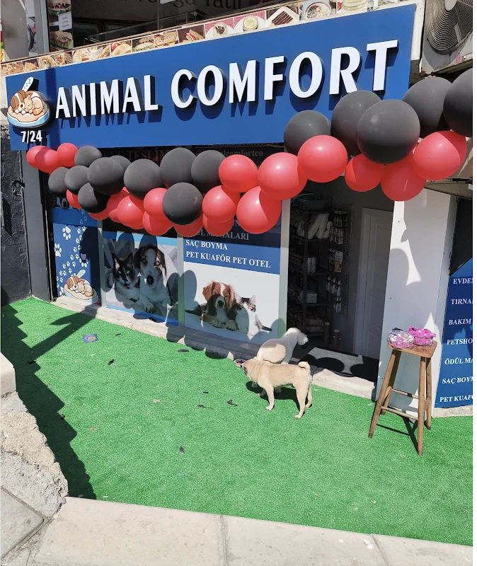 Animal Comfort - Şişli Pet Kuaför & Otel" - Şişli, İstanbul