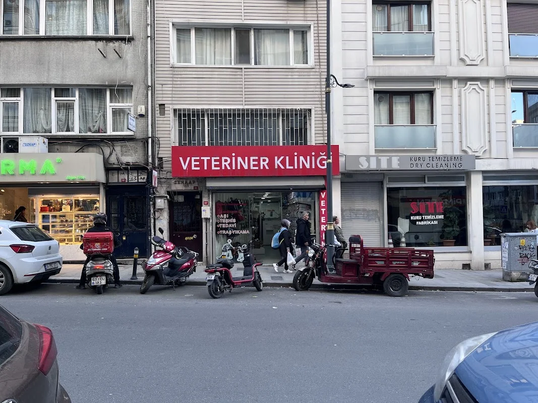 ANİMAL’S VETERİNER KLİNİĞİ - Şişli, İstanbul