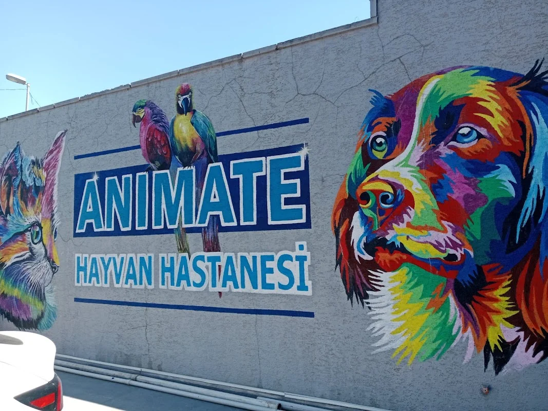 ANIMATE HAYVAN HASTANESİ