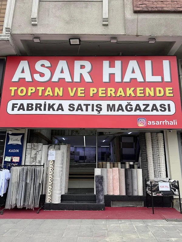 ASAR HALI