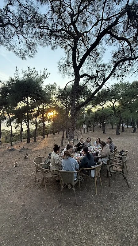 Aşıklar Restaurant