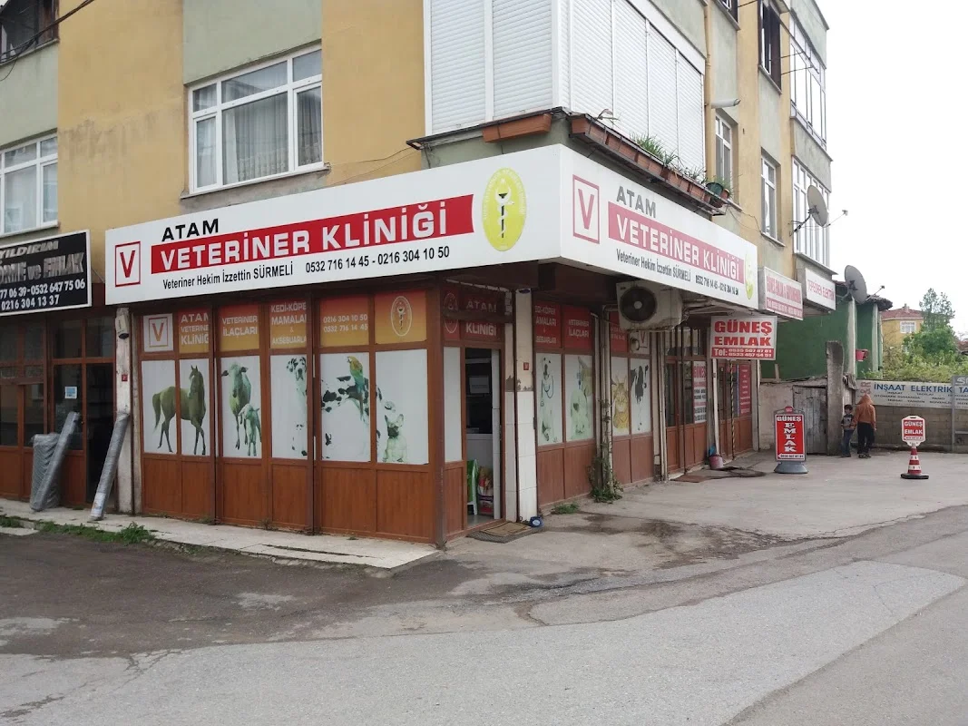 Atam Veteriner Kliniği - Tuzla, İstanbul