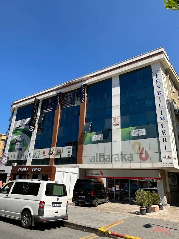 Ataşehir American Vip Yabancı Dil Kursu