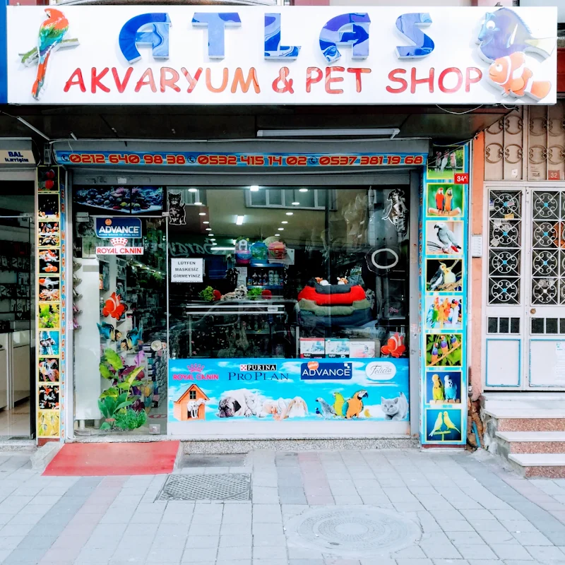 Atlas Pet Shop Akvaryum ‍