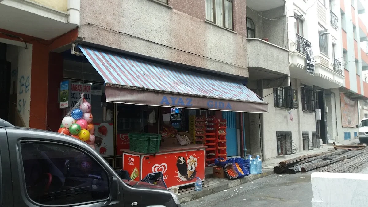 Ayaz Gıda