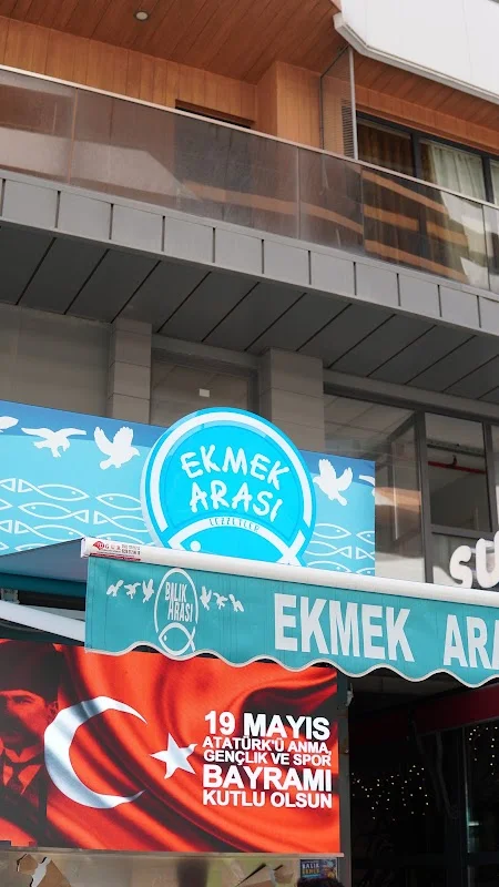 Balık Arası
