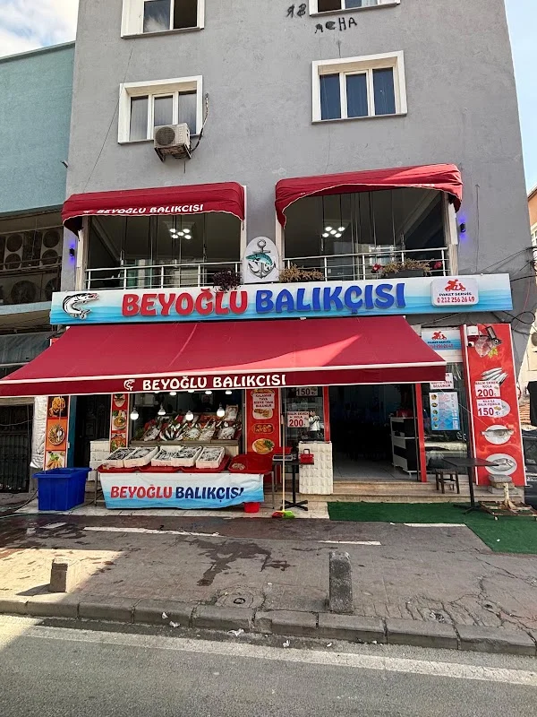 Beyoğlu Balıkçısı - Beyoğlu, İstanbul