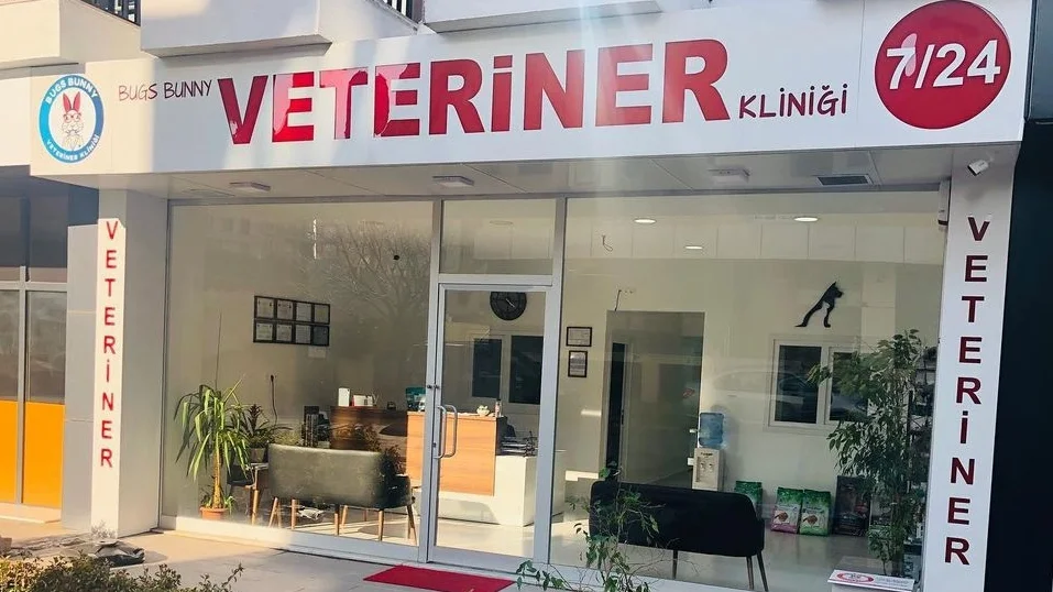 Bugs Bunny Veteriner Kliniği