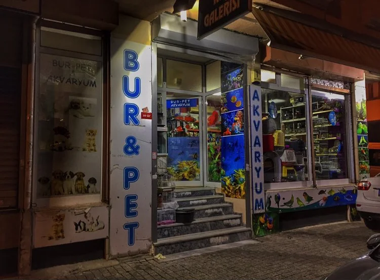 Burpet Akvaryum - Bahçelievler, İstanbul