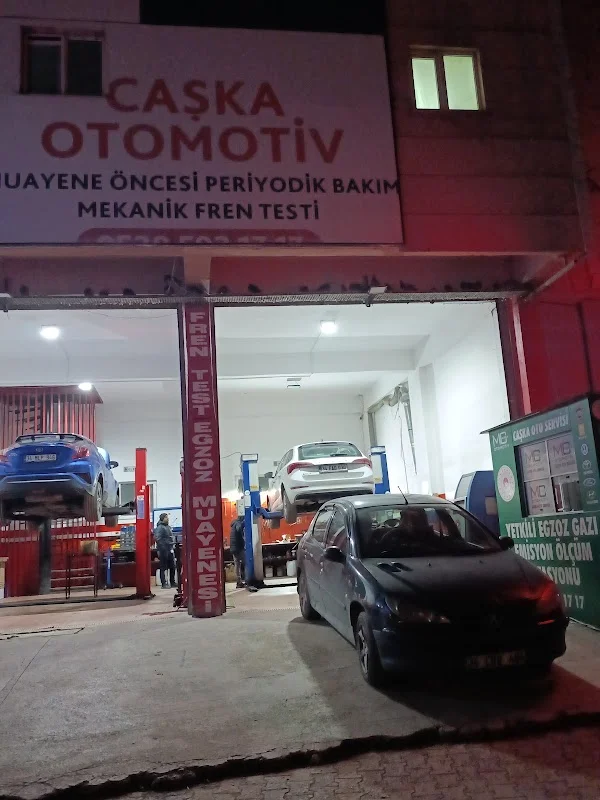CAŞKA OTOMOTIVE - Tuzla, İstanbul