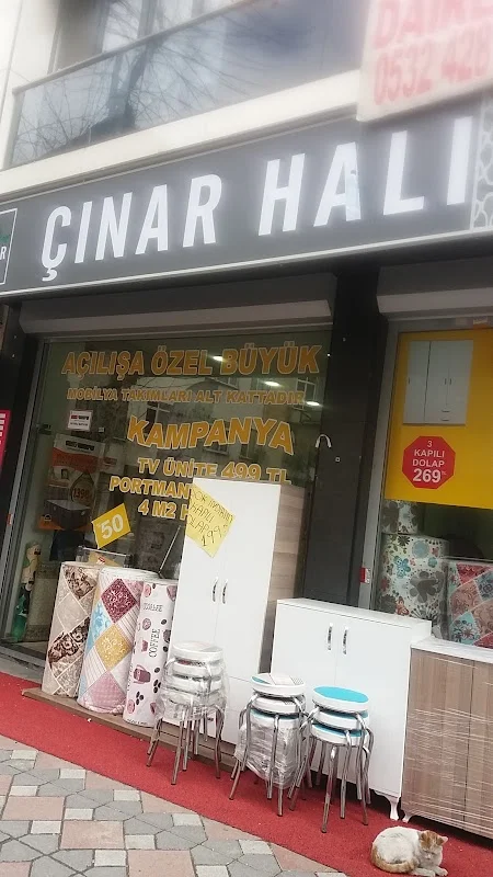Çınar Halı