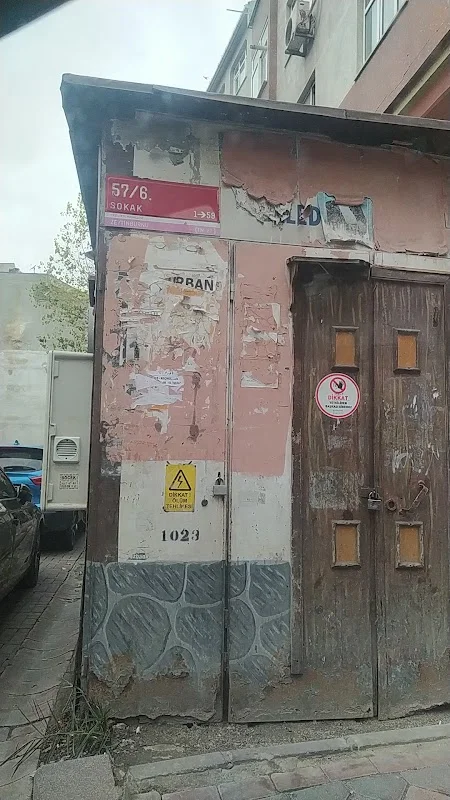 Dinçer Hali