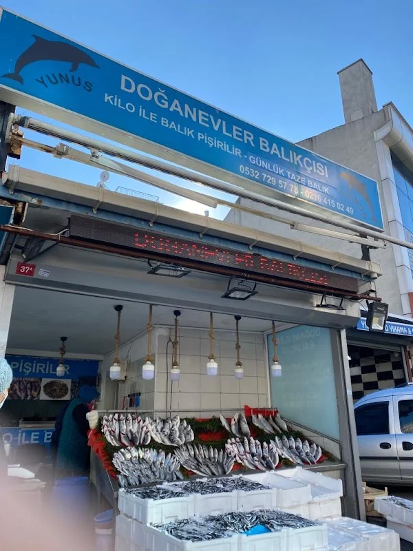 Doğanevler Balıkçısı - Ümraniye, İstanbul