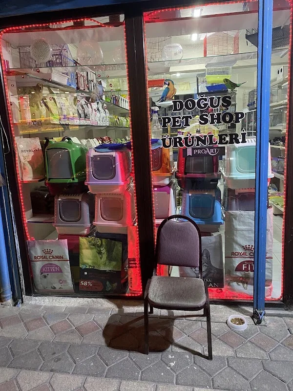 Doğuş Pet Shop & Akvaryum