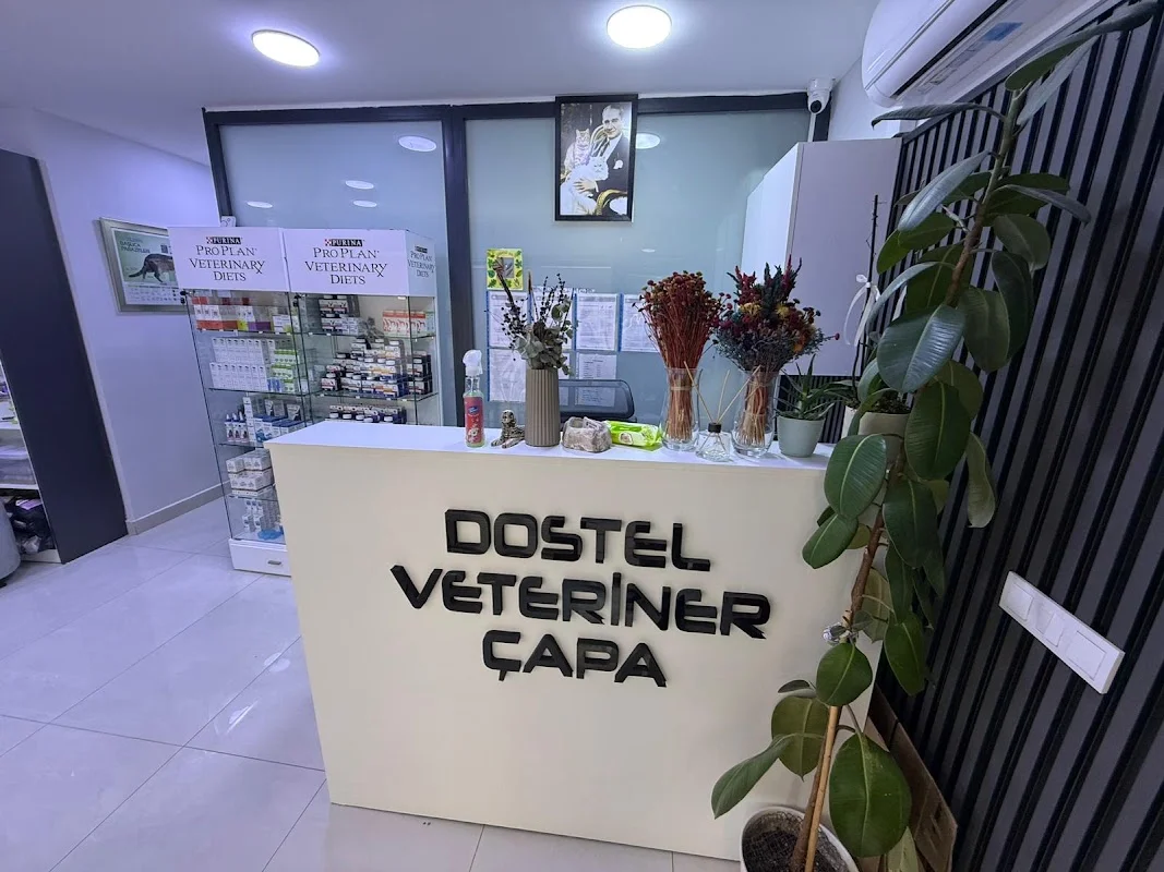 Dostel Veteriner Kliniği Çapa - Fatih, İstanbul