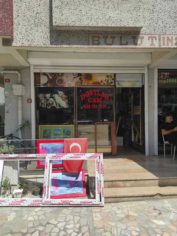 Dostlar Cam
