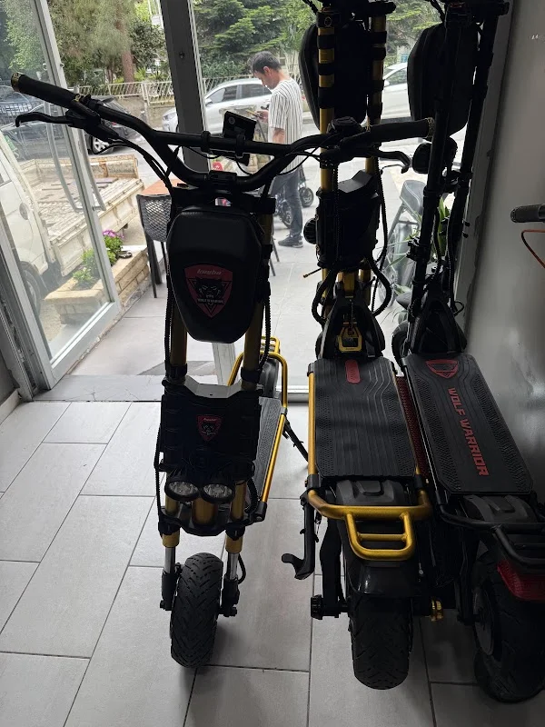 Elektrikli Scooter Servis Kaboo ve Zero, Dualtron , Onvo , Segway , Mi , ÖZEL SERVİS